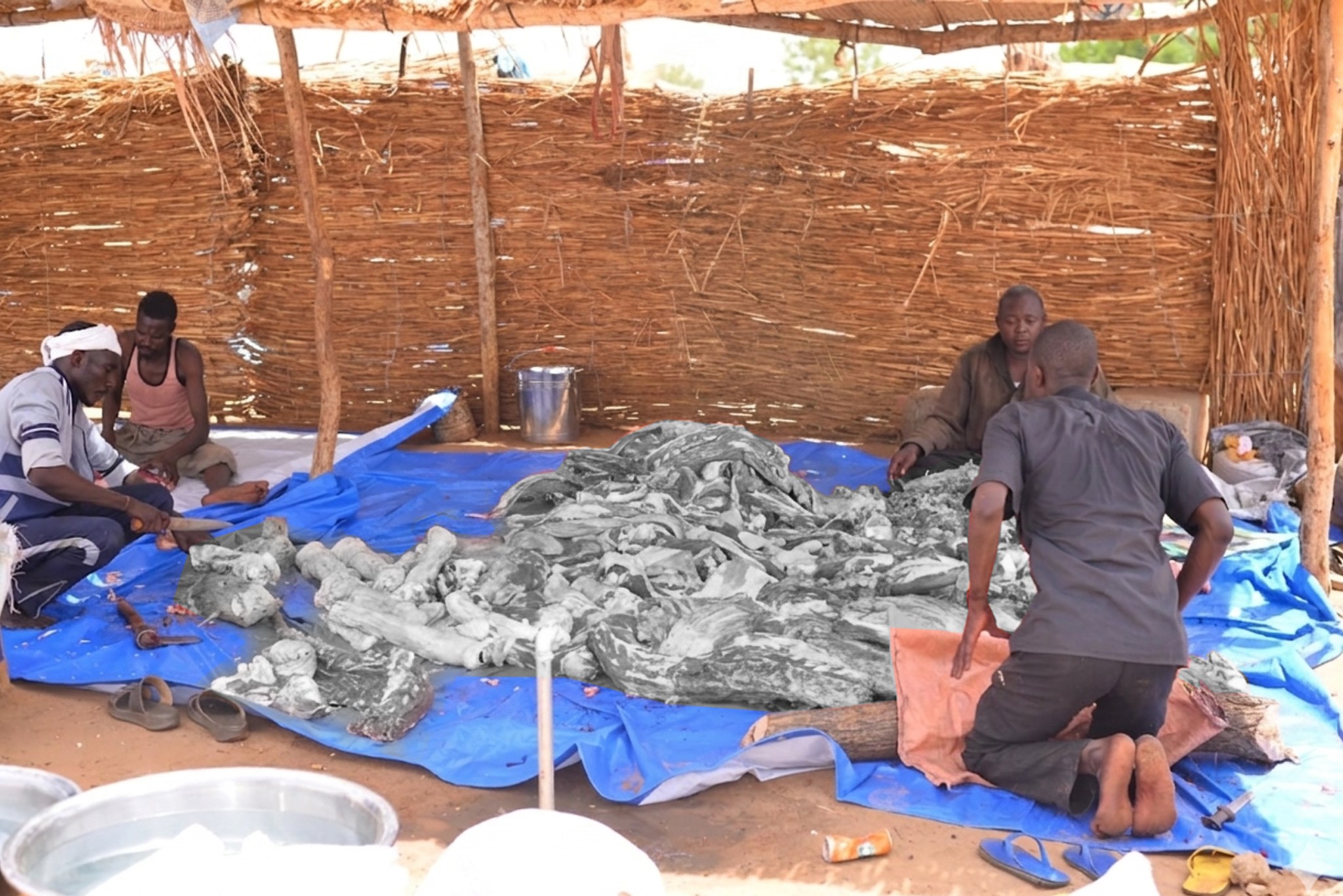 In Sudan, Eid al-Adha arrives amid war as Qurbani becomes a lifeline for millions — image 3